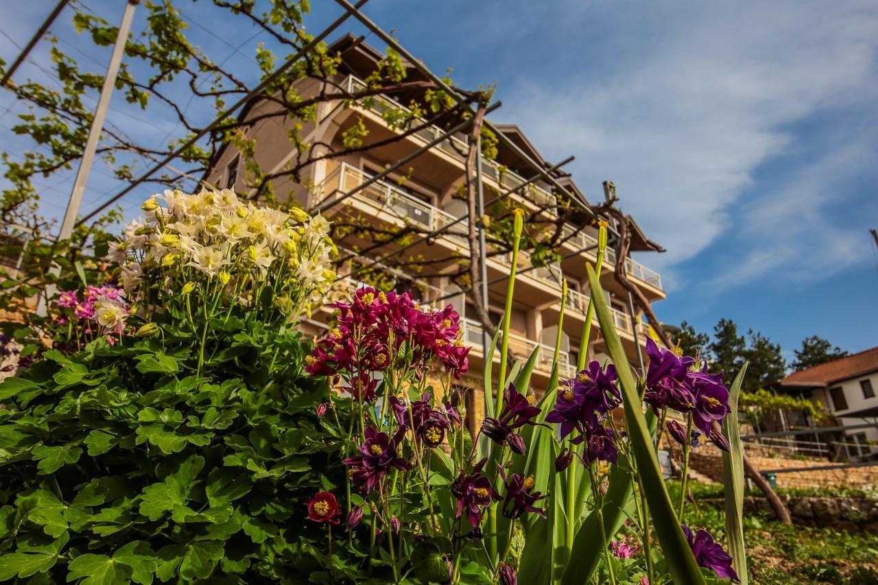 Villa Megdani B Ohrid Ngoại thất bức ảnh